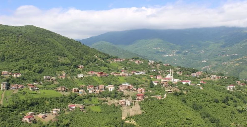 Araklı Taştepe Burnah Köyü Tanıtım Videosu
