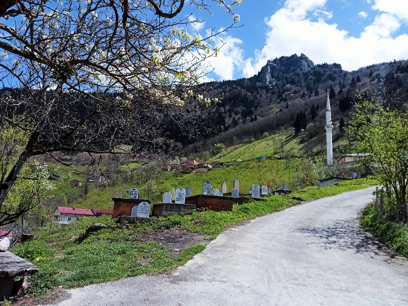 Araklı Köprüüstü Ayven Mahallesi