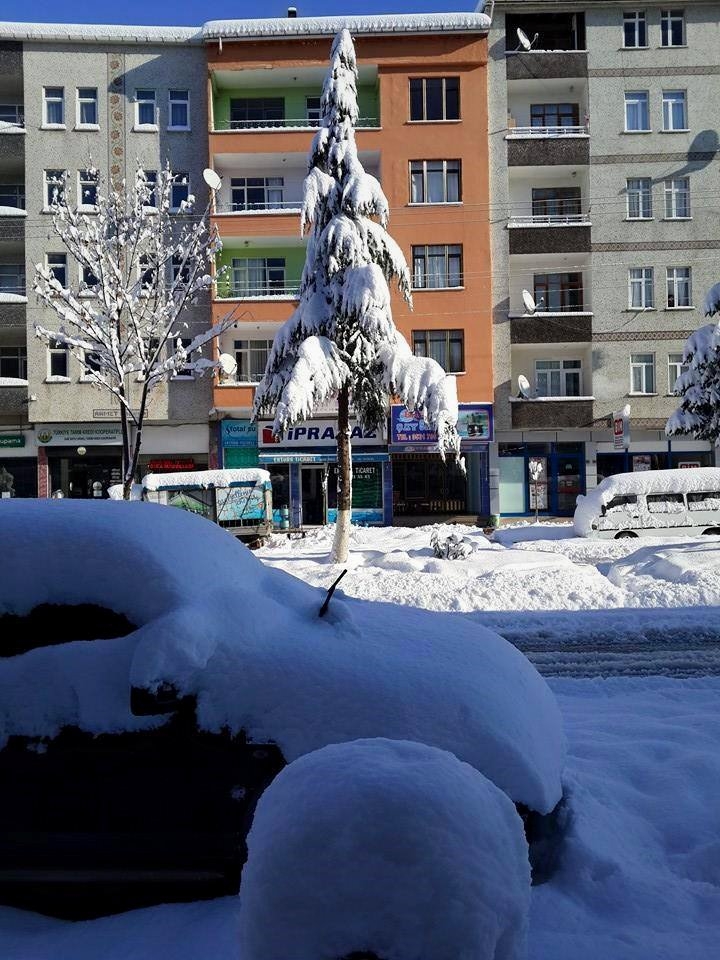 Araklı'da kar manzaraları