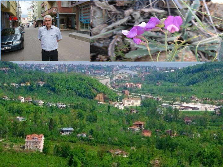 Araklı&#8217;lı Öğretim üyesin den Büyük Başarı