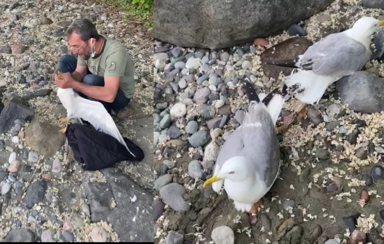 Araklı'da Böylesi bir hayat kurtarma ilk kez görüldü