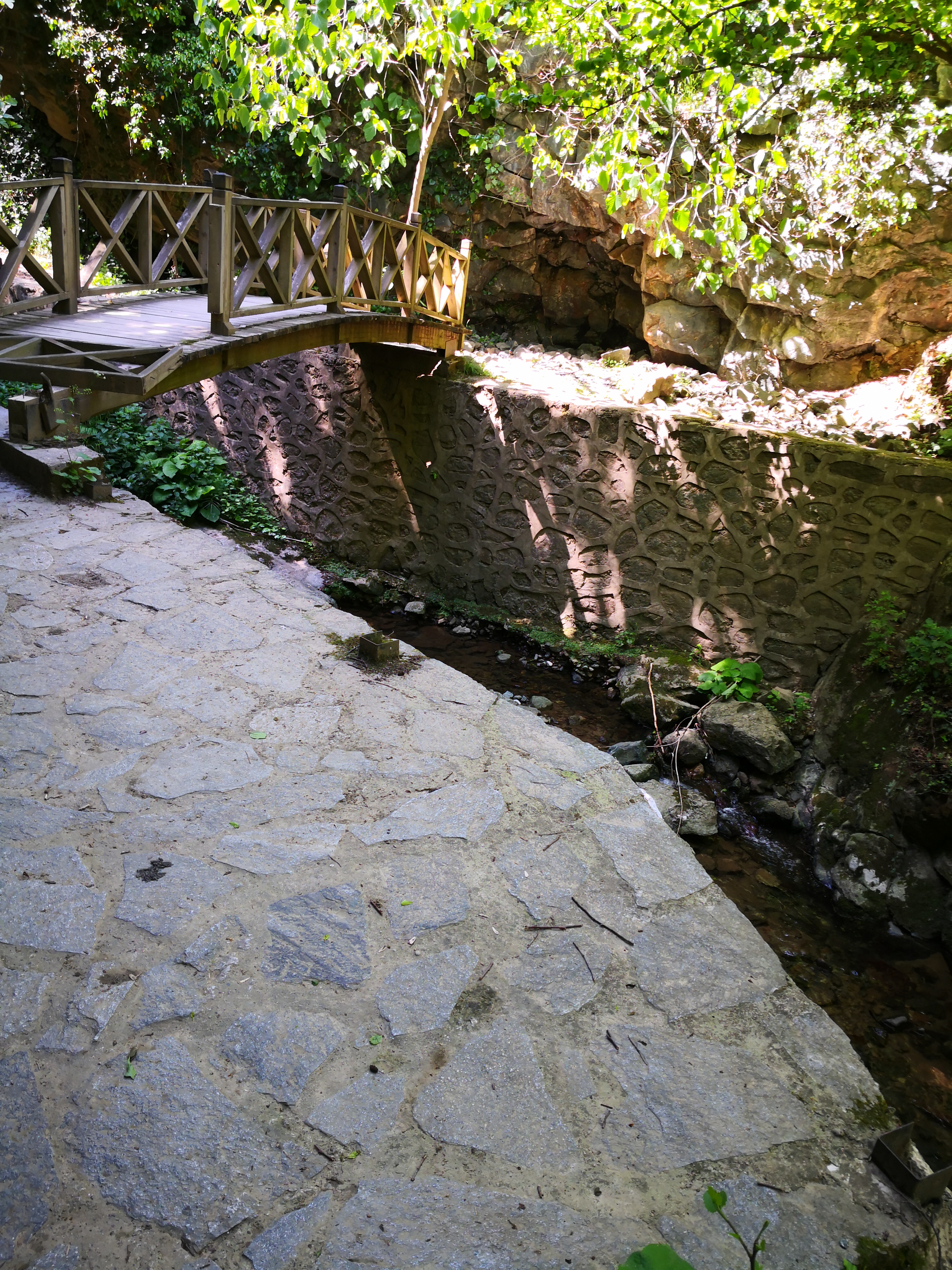 Araklı Turizm bölgesinde şok eden görüntüler