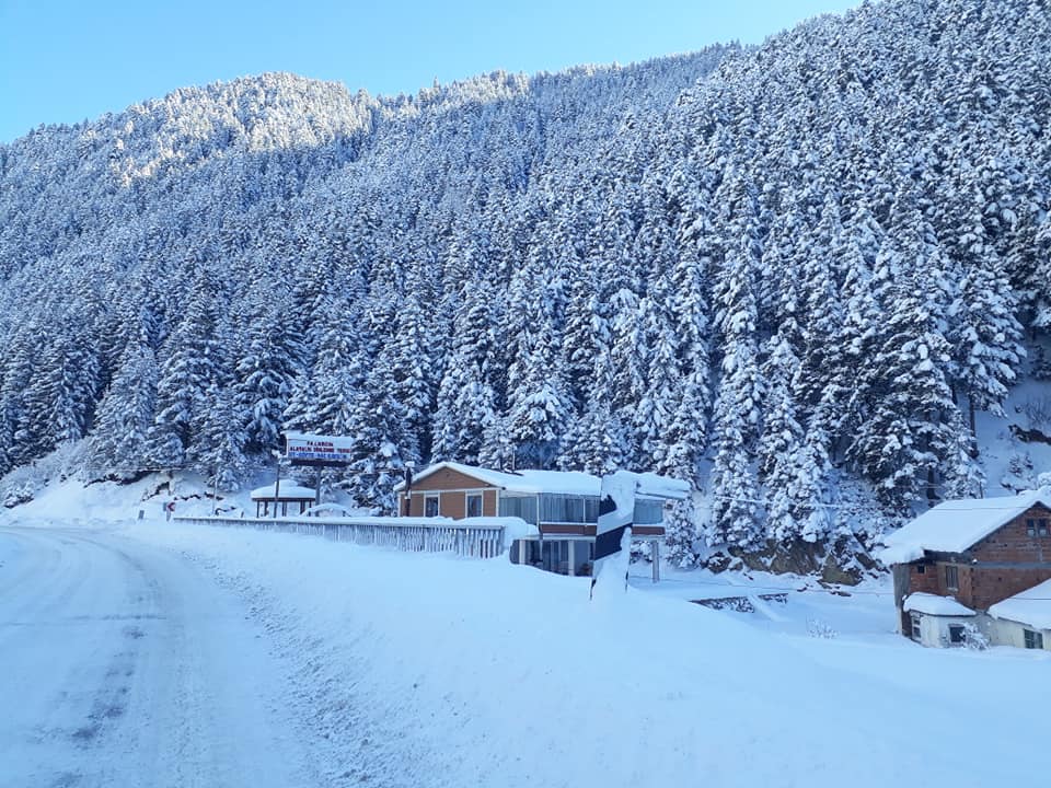 Araklı Pazarcık Resimleri