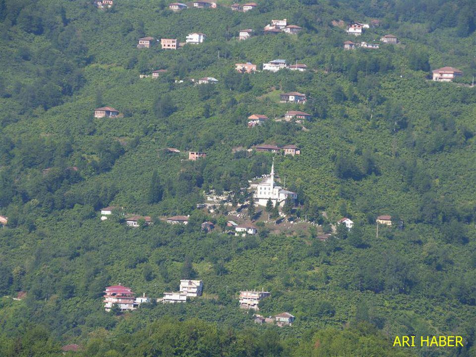 Araklı Bereketli Mahura Köyü