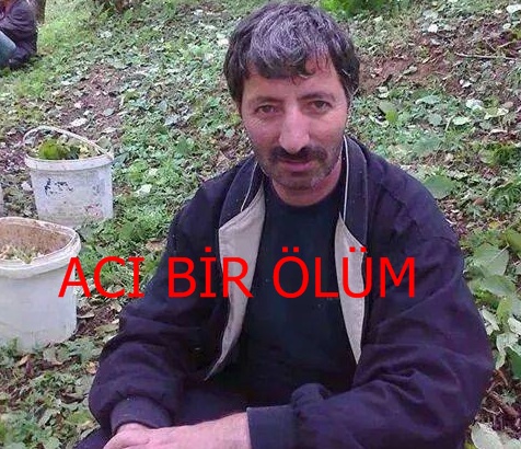 Araklı&#8217;da Acı Bir Ölüm