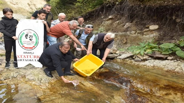 Araklı Karadere’ye 5 bin kırmızı benekli doğal alabalık yavrusu bırakıldı