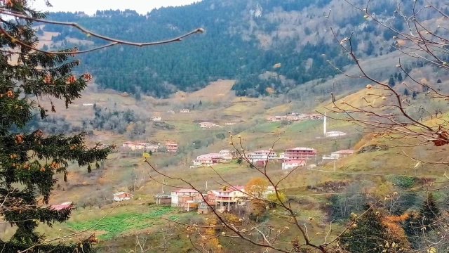 Mahkemeden Araklı'ya Müjde