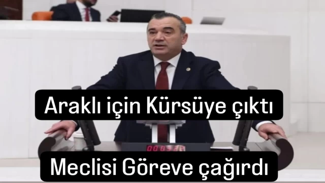 Yavuz Aydın Araklı'yı Mecliste Gündeme Getirdi