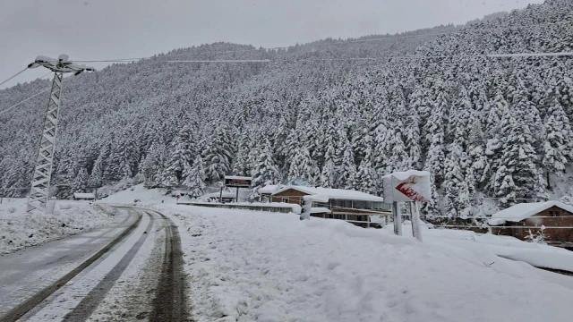 Araklı Pazarcık Güzelliğiyle Büyülüyor