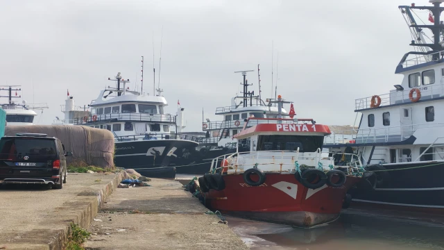 Hamsi Trabzon Araklı'dan Çıktı