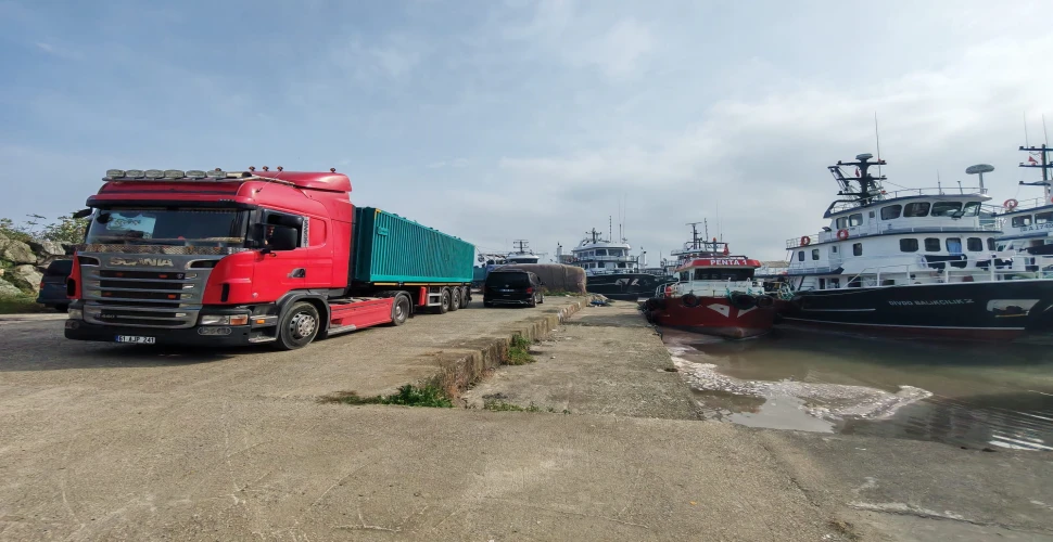 Hamsi Trabzon Araklı'dan Çıktı