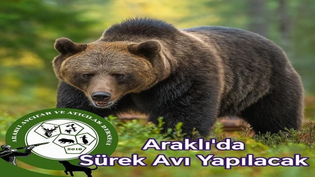 Araklı'da Ayı Sürek Avı Nedeniyle Güvenlik Uyarısı: Bazı Bölgelere Dikkat!