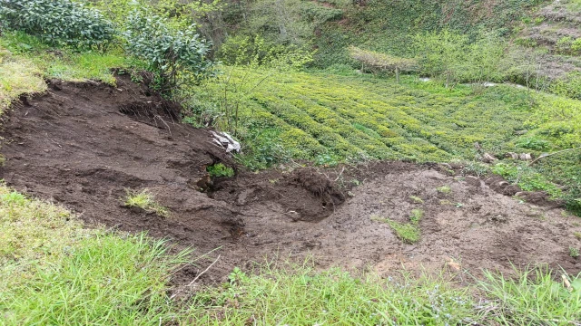 Araklı'da 2 Mahallede Heyelan Riski Tehlike Büyük