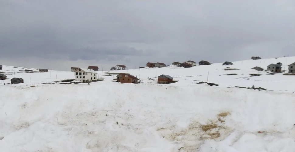 Ayılar Araklı Yaylalarını Mesken Tuttu