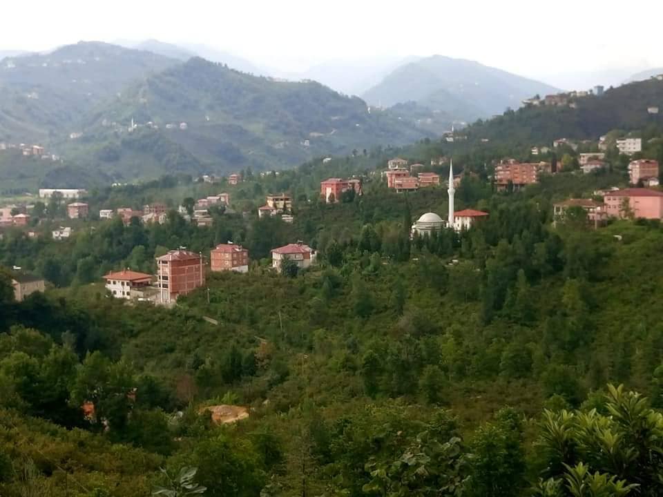 Araklı Gadavol Özgen Mahallesi