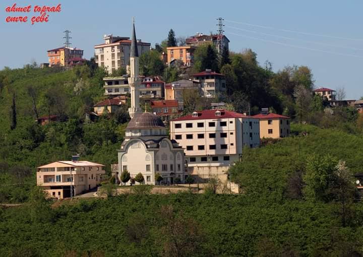 Araklı Pirgi Taşönü Mahallesi