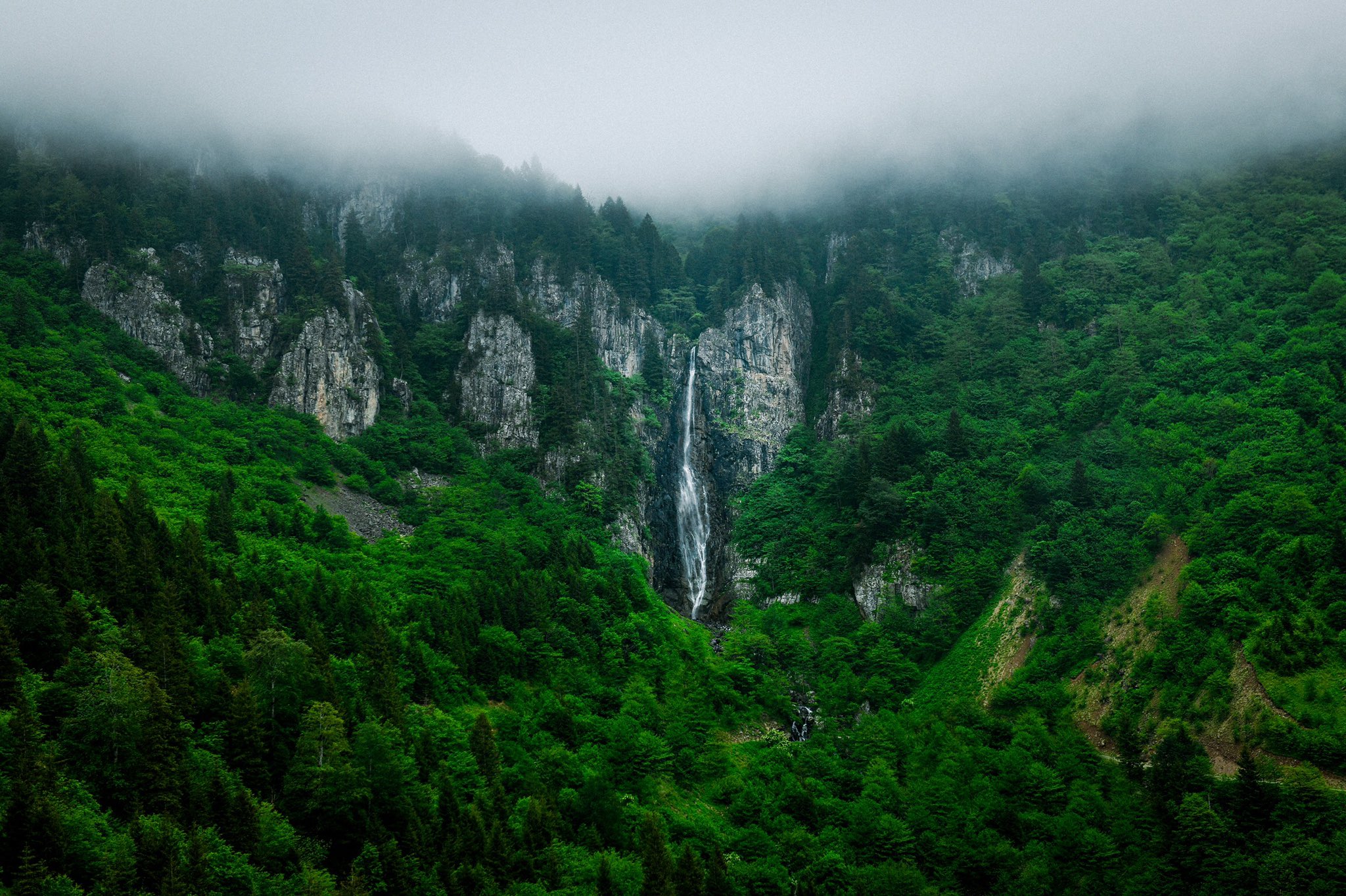 Trabzon Büyük Şehir Araklı Paylaşımı Sosyal Medyada Gündem Oldu