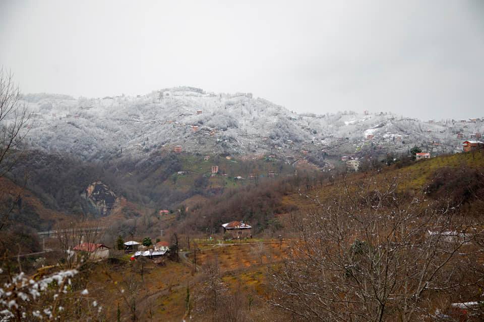 Araklı Ayvadere Aho Mahallesi