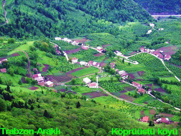 Araklı Ayven Köprüüstü Mahallesi