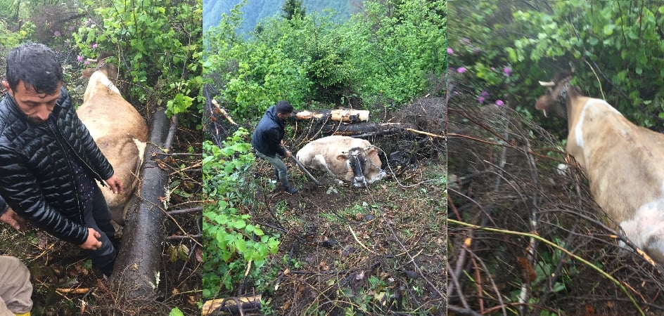 Araklı İtfaiye Ekipleri Onun İçin Seferber Oldular