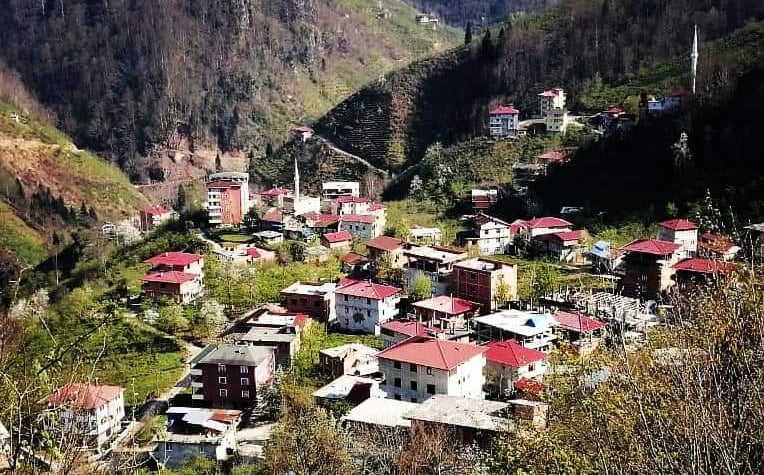 Araklı Yeşilköy Goga Mahallesi