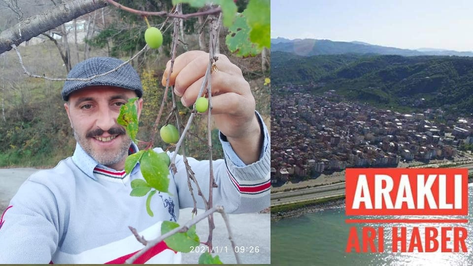 Araklı'da Kış Ortasında Şaşırtan Görüntü