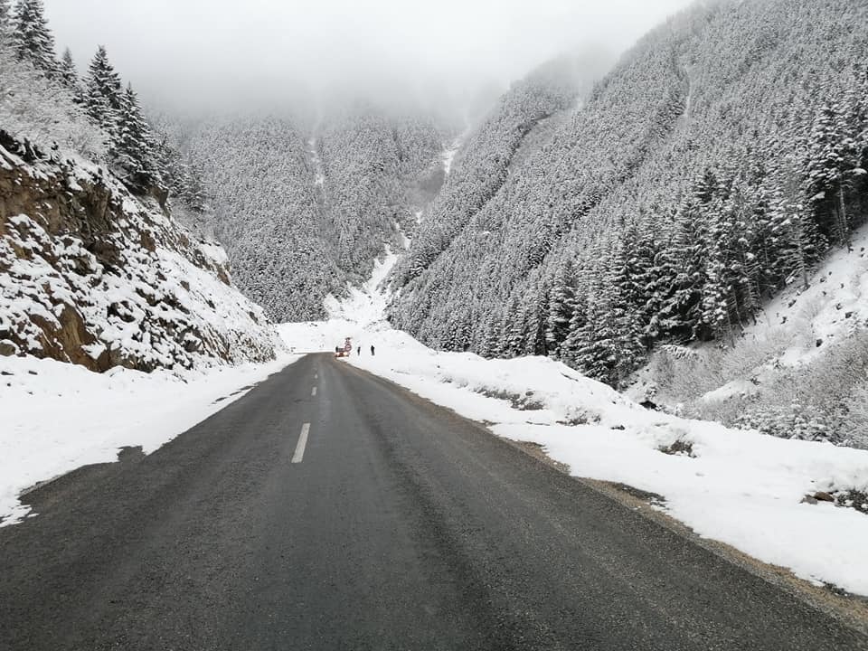 Bu güzellik Sadece Araklı'da