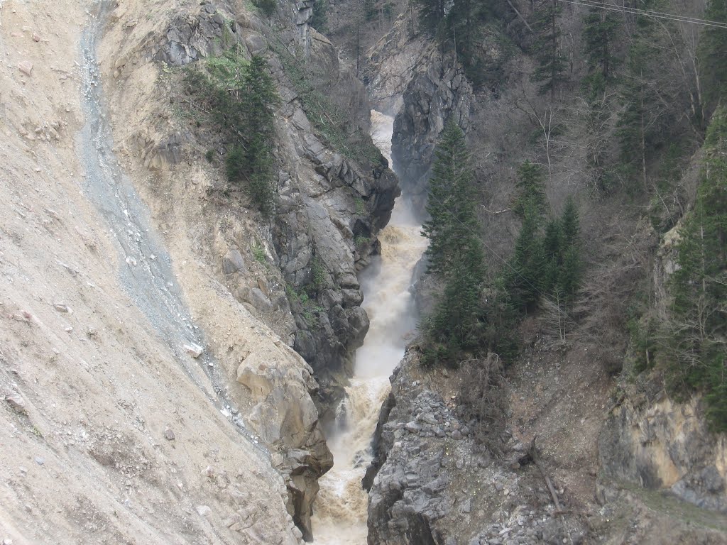 ARAKLI VE ARSİN ŞEYDA İÇİN AYAKTA