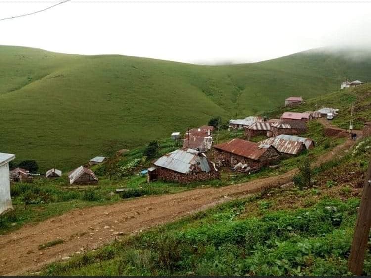 Araklılıların Gittiği Yaylada Büyük Gerginlik