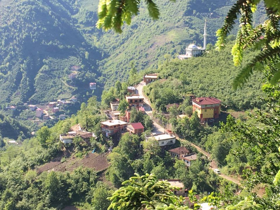 Araklı Gondiyan İyisu Mahallesi