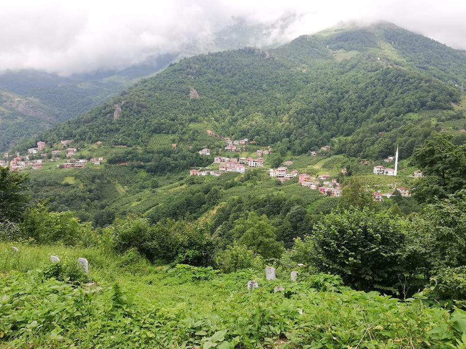 Araklı Çukurçayır Foşa Mahallesi