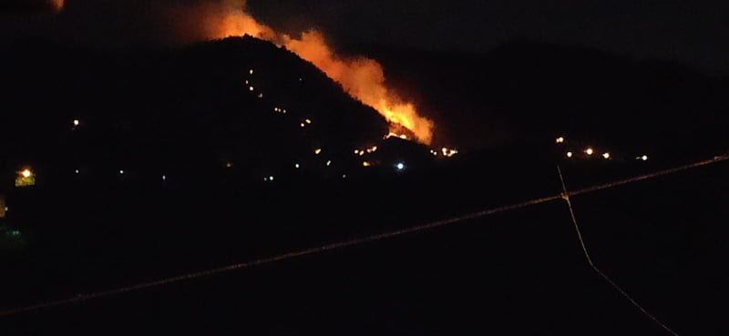 Son Dakika Araklı'nın bu Mahallesinde Korkutan Yangın