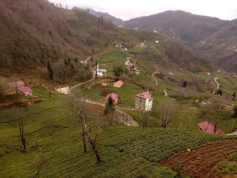 Araklı Türkeli Mahallesi