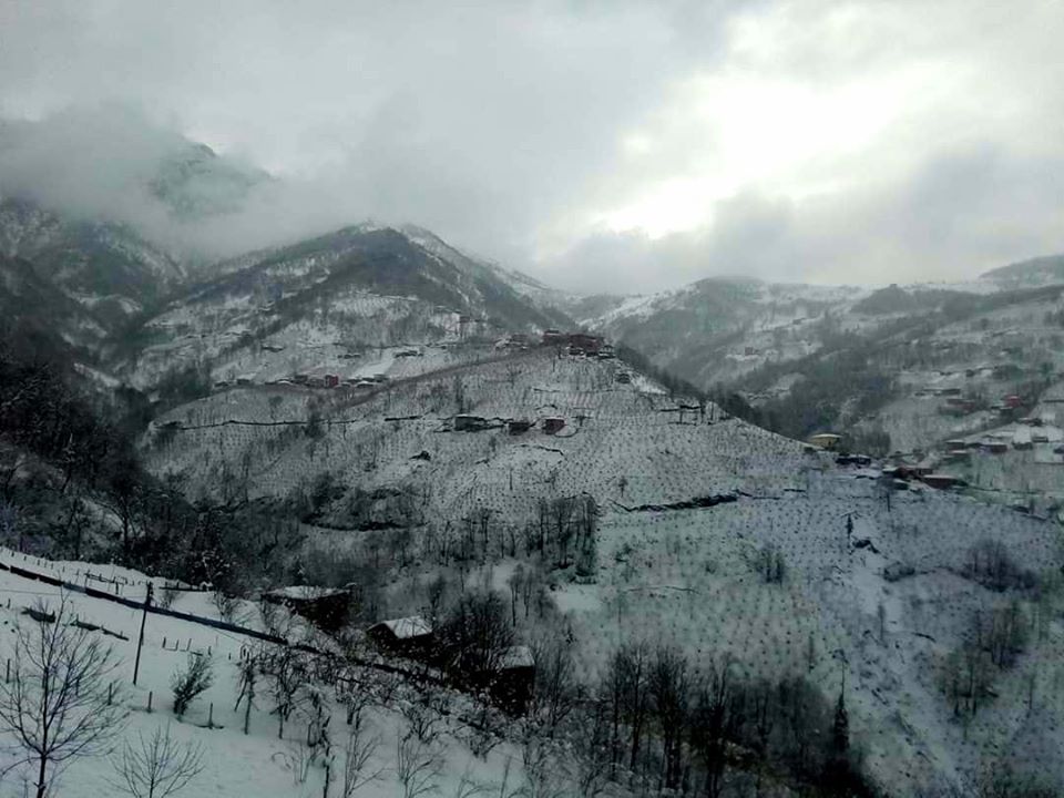 Araklı Yüceyurt Mahallesi