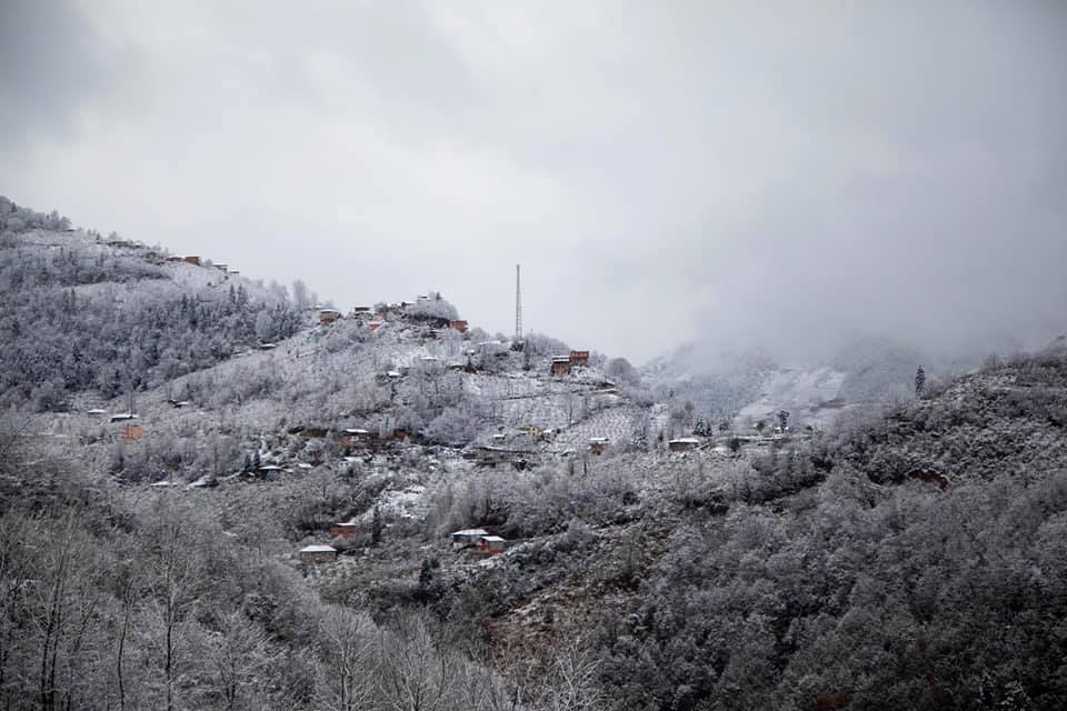 Araklı Zavzaga Yoncalı Mahallesi