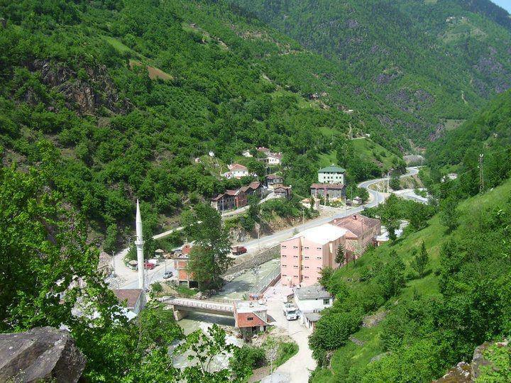 Araklı (Dağbaşı) Çankaya Mahallesi