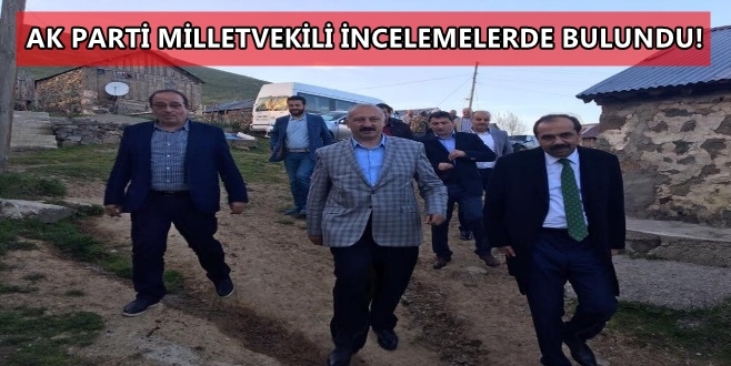 Ak parti Milletvekili Araklı\'da İncelemelerde Bulundu