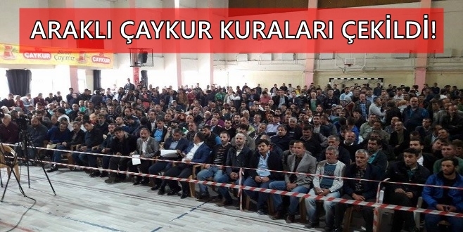 Araklı Çay Fabrikasına Alınan İsimler Belli Oldu