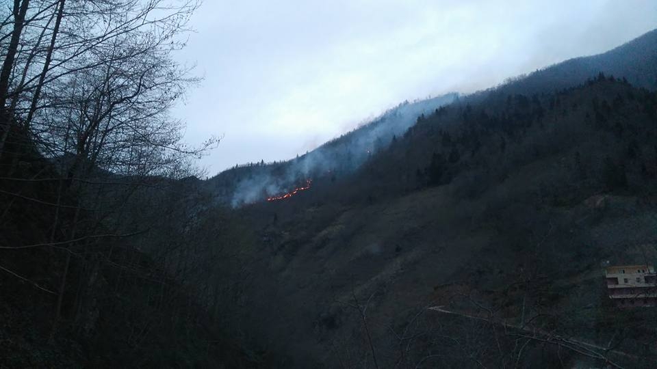 Araklı Pervane de Korkutan Yangın