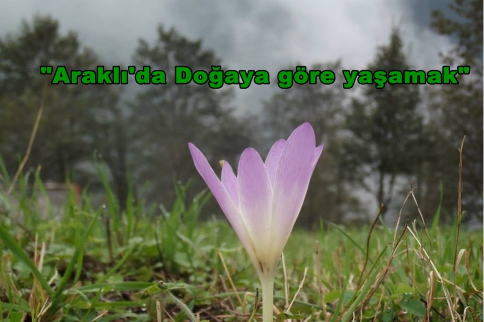 Araklı\'da Doğaya göre yaşamak