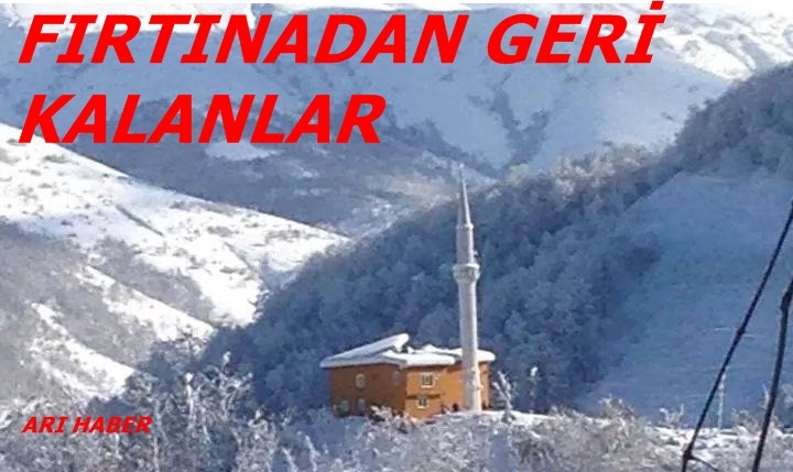 Araklı\'da Esen Rüzgar Geride Büyük Hasar Bıraktı