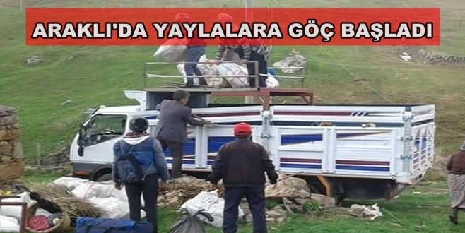 Araklı\'da Yaylalara Göç Başladı