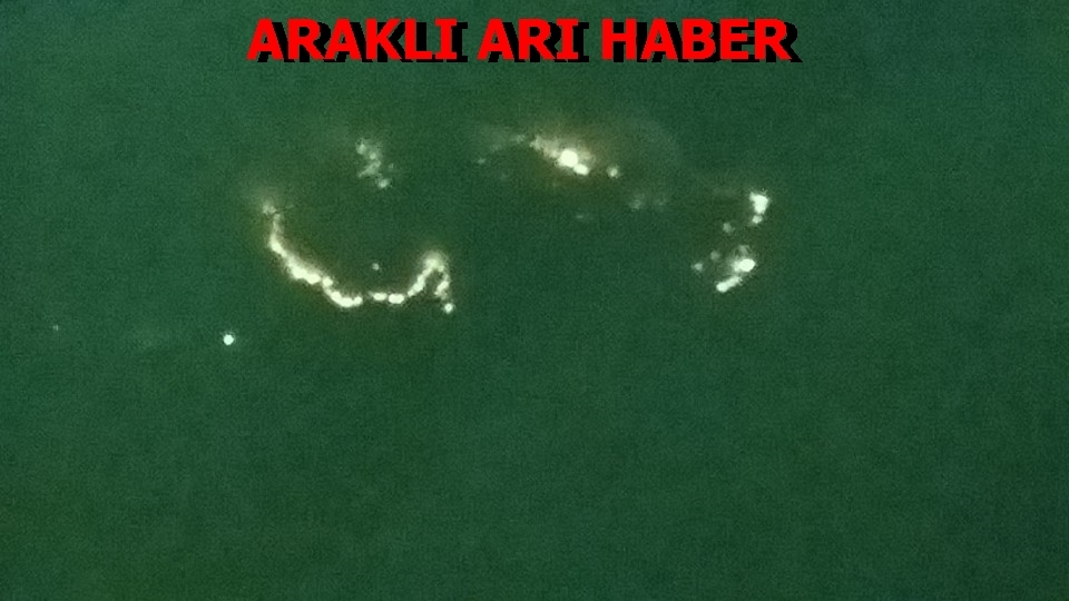 Araklı\'nın Bu Mahallesi Yanıyor