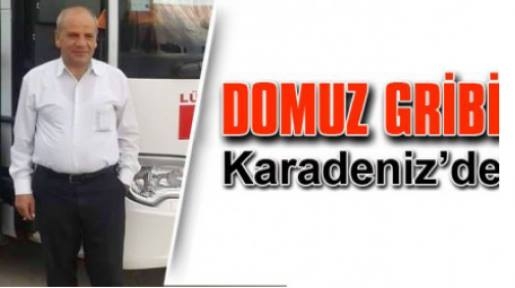 DOMUZ GİRİBİ KARADENİZ\'DE