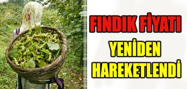 Don Deklentisi Fındık Fiyatını Artırdı