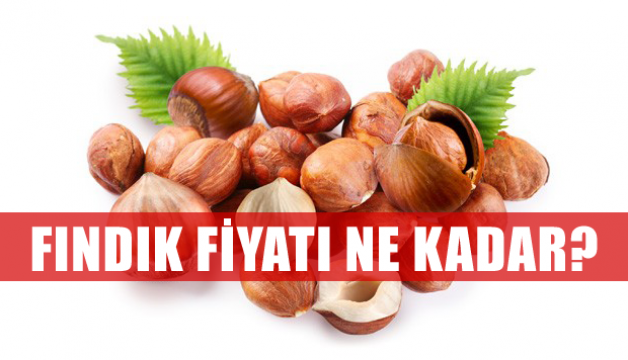 Fındık Fiyatları Ne Kadar?