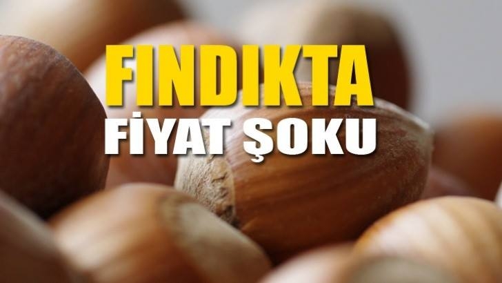 Fındıkta Fiyat Şoku