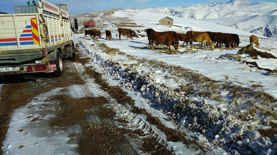MAHSUR KALAN YAYLACILAR KURTARILDI