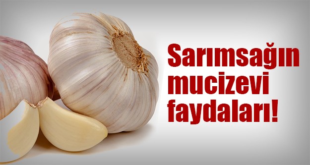 Sarımsağın faydaları saymakla bitmiyor..!