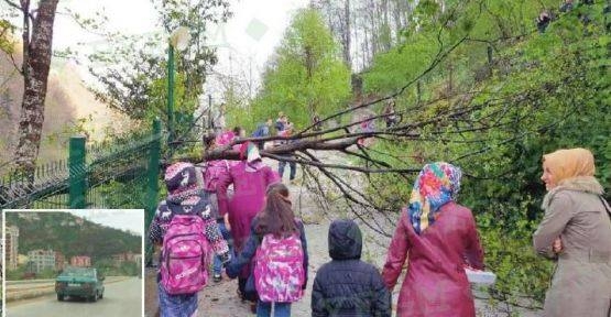  Tacizden Bıktılar Polise Sığındılar